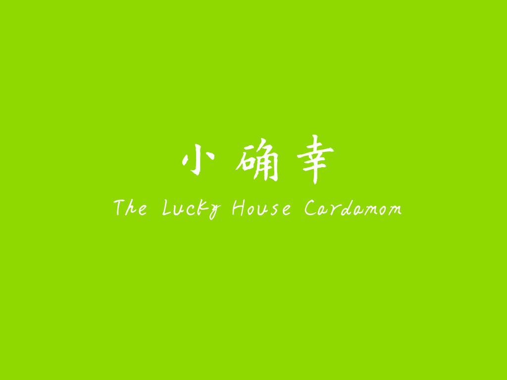 The Lucky House Cardamom Apartment Port Dickson Bagian luar foto